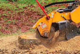 Best Tree Maintenance Programs  in Caldwell, OH