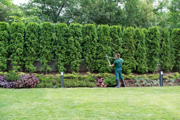Best Pest Control for Lawns  in Caldwell, OH