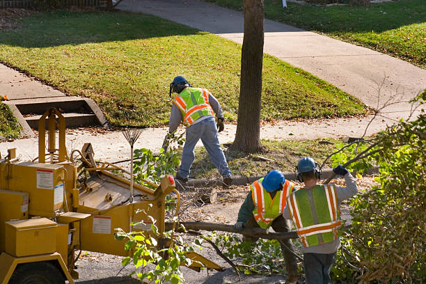 Best Lawn Irrigation Installation and Maintenance  in Caldwell, OH